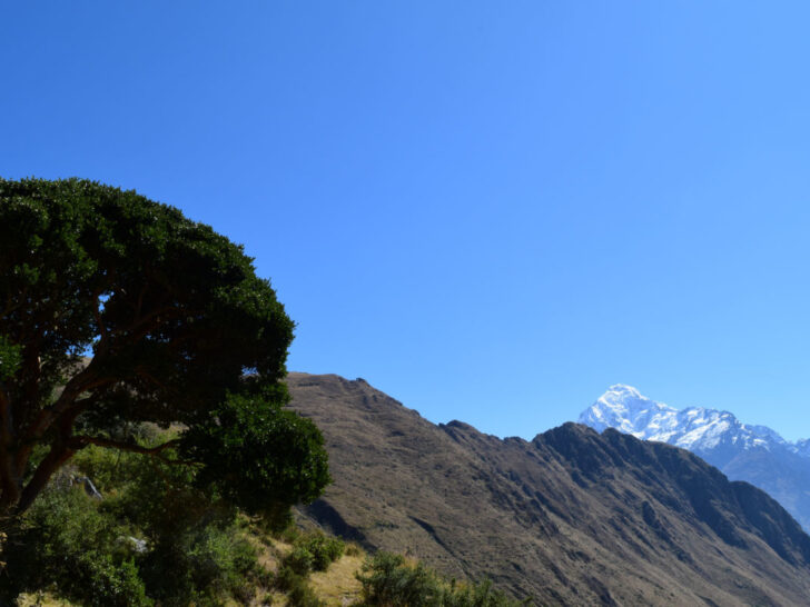 Views of a tree and some mountains on the Inca Quarry Trek in Peru