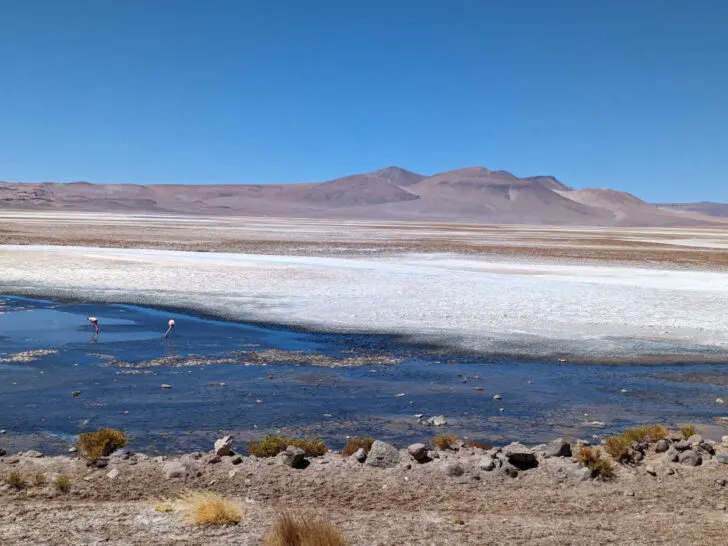 Beautiful view of the Atacama Desert in Chile